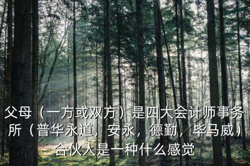 父母（一方或雙方）是四大會(huì)計(jì)師事務(wù)所（普華永道，安永，德勤，畢馬威）合伙人是一種什么感覺(jué)