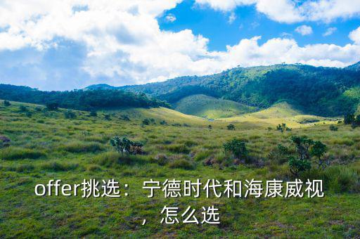 ?？低曔@家公司怎么樣,寧德時代和海康威視