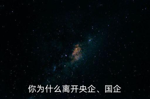 你為什么離開央企、國企