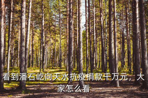 看到潘石屹向天水抗疫捐款千萬元，大家怎么看