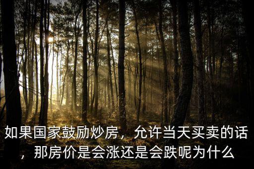 如果國家鼓勵炒房，允許當(dāng)天買賣的話，那房價是會漲還是會跌呢為什么