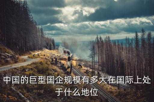中國(guó)多少?lài)?guó)企,中國(guó)的巨型國(guó)企規(guī)模有多大