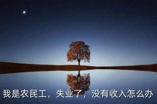 我是農(nóng)民工，失業(yè)了，沒(méi)有收入怎么辦