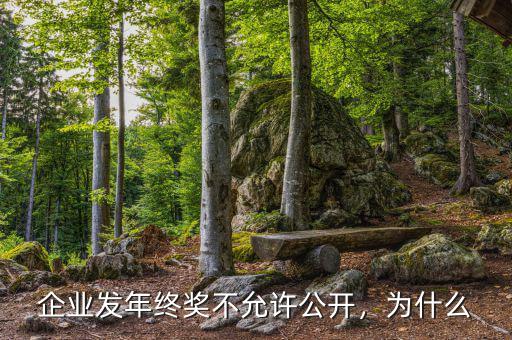 企業(yè)發(fā)年終獎(jiǎng)不允許公開(kāi)，為什么