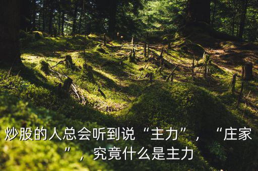 炒股的人總會聽到說“主力”，“莊家”，究竟什么是主力