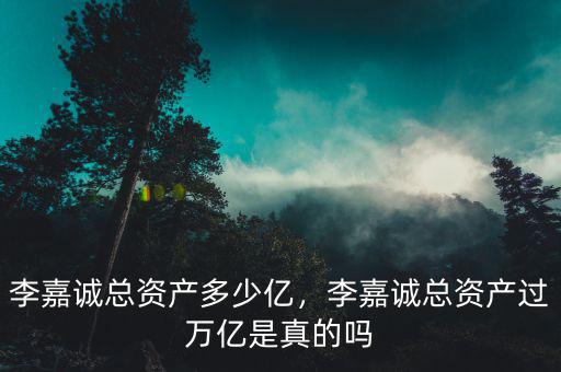 李嘉誠總資產多少億，李嘉誠總資產過萬億是真的嗎