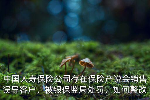 中國人壽保險公司存在保險產(chǎn)說會銷售誤導(dǎo)客戶，被銀保監(jiān)局處罰，如何整改