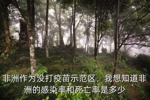 非洲作為沒打疫苗示范區(qū)，我想知道非洲的感染率和死亡率是多少