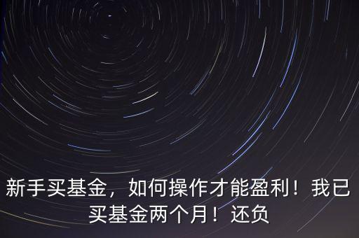 新手買基金，如何操作才能盈利！我已買基金兩個月！還負
