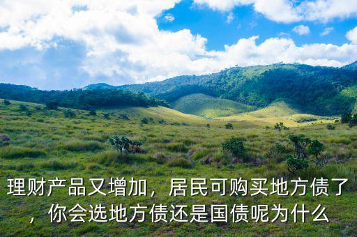 理財產(chǎn)品又增加，居民可購買地方債了，你會選地方債還是國債呢為什么
