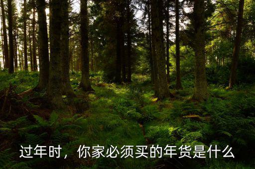 過(guò)年時(shí)，你家必須買(mǎi)的年貨是什么