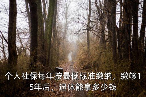 個(gè)人社保每年按最低標(biāo)準(zhǔn)繳納，繳夠15年后，退休能拿多少錢