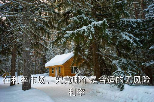 在利率市場(chǎng)，究竟哪個(gè)是合適的無(wú)風(fēng)險(xiǎn)利率