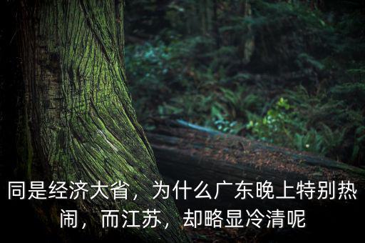 同是經(jīng)濟大省，為什么廣東晚上特別熱鬧，而江蘇，卻略顯冷清呢