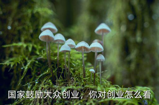 國家鼓勵大眾創(chuàng)業(yè)，你對創(chuàng)業(yè)怎么看