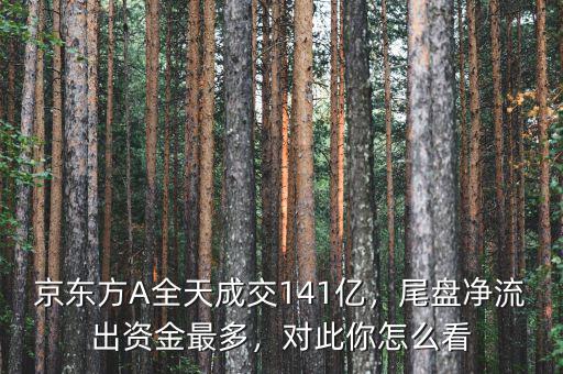 京東方A全天成交141億，尾盤凈流出資金最多，對(duì)此你怎么看