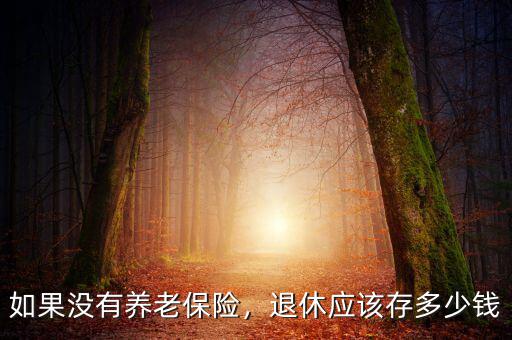 如果沒有養(yǎng)老保險(xiǎn)，退休應(yīng)該存多少錢
