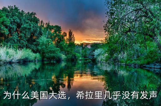 為什么美國大選，希拉里幾乎沒有發(fā)聲