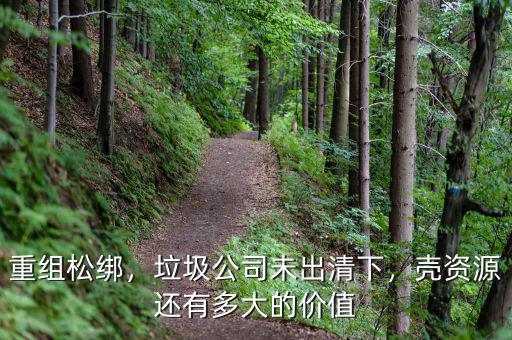 重組松綁，垃圾公司未出清下，殼資源還有多大的價值