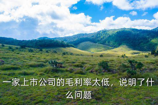 一家上市公司的毛利率太低，說(shuō)明了什么問(wèn)題