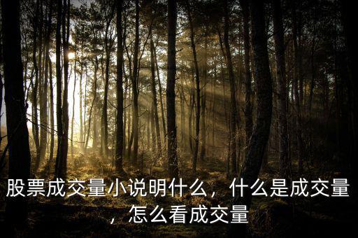 股票成交量小說(shuō)明什么，什么是成交量，怎么看成交量