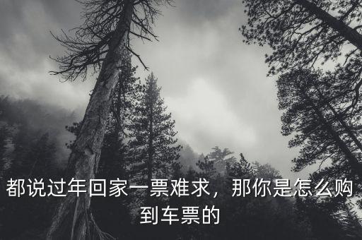 都說過年回家一票難求，那你是怎么購到車票的