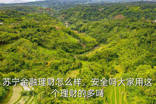 蘇寧理財(cái)怎么買,大家用這個理財(cái)?shù)亩鄦?/></a></span><span id=