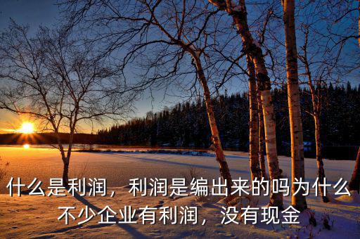 什么是利潤，利潤是編出來的嗎為什么不少企業(yè)有利潤，沒有現金