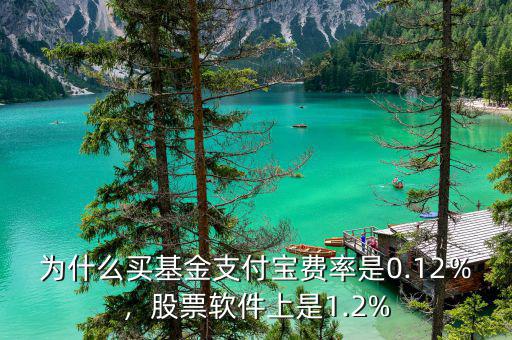 為什么買基金支付寶費(fèi)率是0.12％，股票軟件上是1.2%
