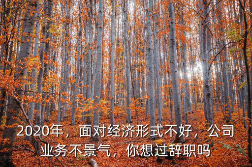 2020年，面對經(jīng)濟(jì)形式不好，公司業(yè)務(wù)不景氣，你想過辭職嗎