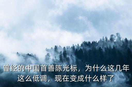 曾經(jīng)的中國首善陳光標(biāo)，為什么這幾年這么低調(diào)，現(xiàn)在變成什么樣了