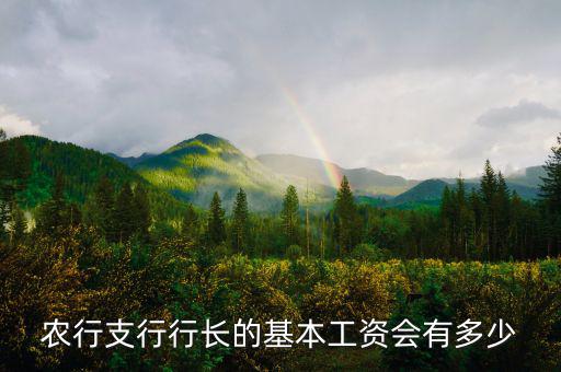 農(nóng)行支行行長的基本工資會(huì)有多少