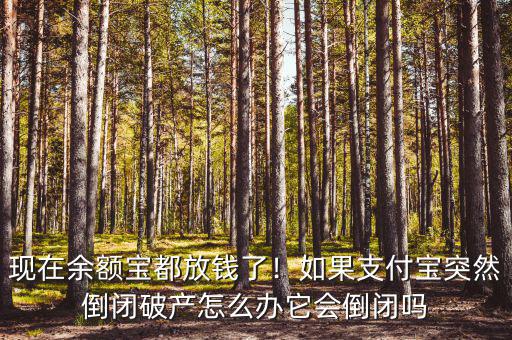 現(xiàn)在余額寶都放錢了！如果支付寶突然倒閉破產(chǎn)怎么辦它會倒閉嗎