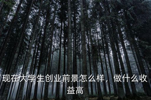 現(xiàn)在大學(xué)生創(chuàng)業(yè)前景怎么樣，做什么收益高