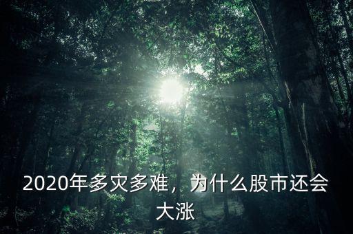2020年多災多難，為什么股市還會大漲