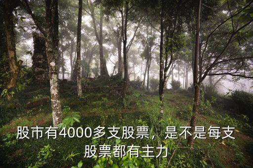 股市有4000多支股票，是不是每支股票都有主力