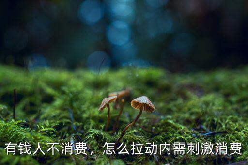 美國(guó)富人怎么消費(fèi),怎么拉動(dòng)內(nèi)需刺激消費(fèi)