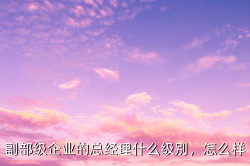 副部級企業(yè)的總經(jīng)理什么級別，怎么樣