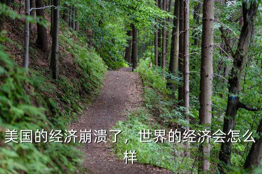 美國的經(jīng)濟(jì)崩潰了，世界的經(jīng)濟(jì)會怎么樣