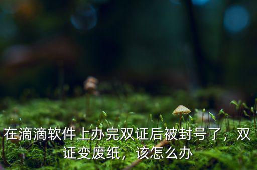 在滴滴軟件上辦完雙證后被封號(hào)了，雙證變廢紙，該怎么辦