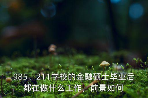 985、211學(xué)校的金融碩士畢業(yè)后都在做什么工作，前景如何