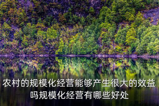農村的規(guī)?；洜I能夠產生很大的效益嗎規(guī)模化經營有哪些好處