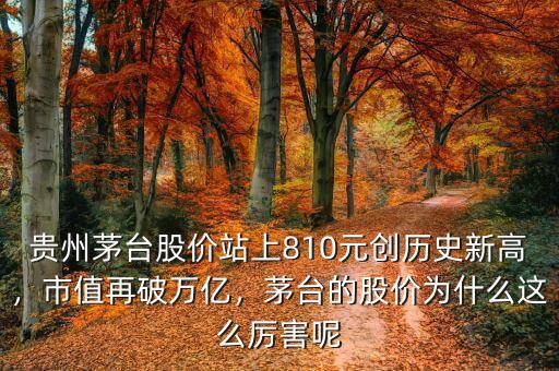 貴州茅臺股價站上810元創(chuàng)歷史新高，市值再破萬億，茅臺的股價為什么這么厲害呢