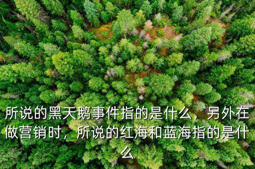 所說的黑天鵝事件指的是什么，另外在做營(yíng)銷時(shí)，所說的紅海和藍(lán)海指的是什么