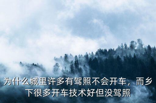 為什么城里許多有駕照不會(huì)開車，而鄉(xiāng)下很多開車技術(shù)好但沒駕照