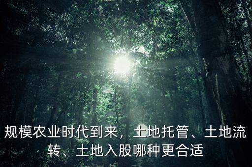 規(guī)模農(nóng)業(yè)時(shí)代到來，土地托管、土地流轉(zhuǎn)、土地入股哪種更合適