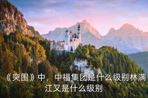 《突圍》中，中福集團是什么級別林滿江又是什么級別