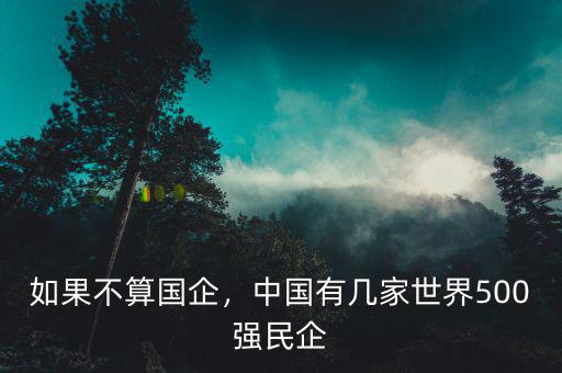 如果不算國企，中國有幾家世界500強(qiáng)民企