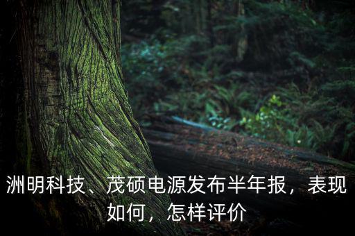 洲明科技、茂碩電源發(fā)布半年報(bào)，表現(xiàn)如何，怎樣評價(jià)