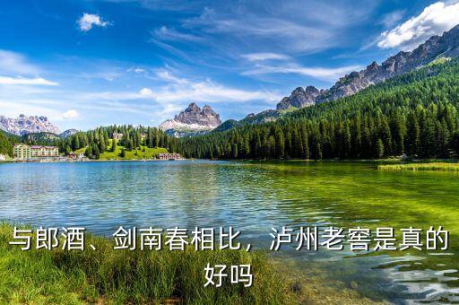 與郎酒、劍南春相比，瀘州老窖是真的好嗎